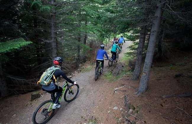 Tour de bicicleta e caiaque pelos Westfjords - Foto 6