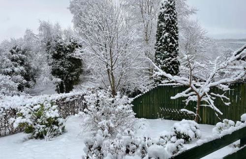 Bonny Wee Snug - Pod in Spean Bridge - Photo 56
