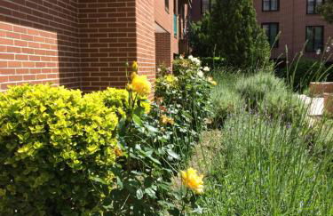 Premium Luxury City Center Madrid - Alojamiento de Temporada - Photo 22