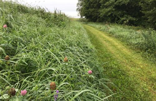 Andrzejówka - Photo 62