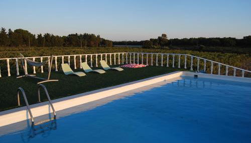 Adega Monte Maneta - Foto 3