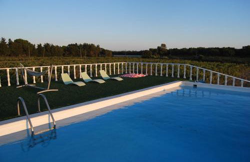 Adega Monte Maneta - Foto 3