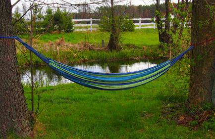 Nowy Domek na Mazurach - łowisko ryb - Foto 10