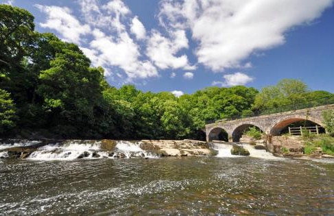 1 Bed in Torrington oc-annas - Foto 19