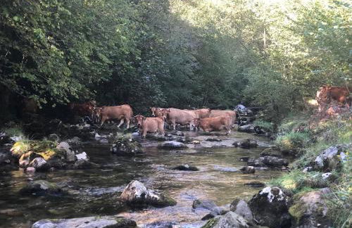 Alojamientos Casa Luisa - Foto 36