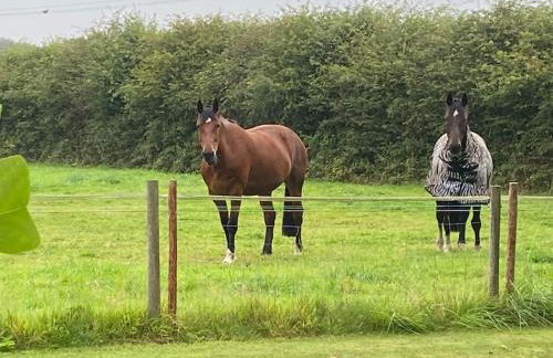 Luxury retreat with hot tub & wood burner - Mylor - Foto 9