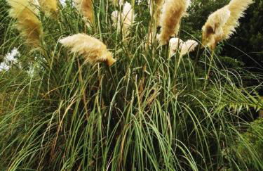 Tenuta Sant'Andrea - Foto 90