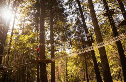 Casa do Abade - Country House - Photo 23