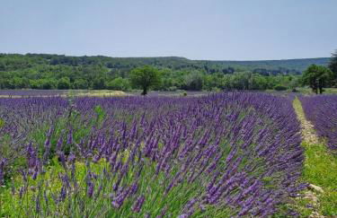 Villa Les Fuseaux Grignan - Foto 42