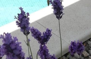 Villa Martina Bellevue - Foto 7