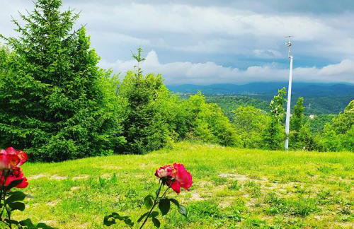Holiday Home Modruš - Foto 46