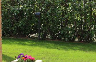 Daphne Experience - Home, Harmony and Garden - Foto 41