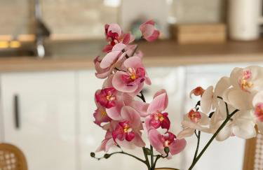 Above The Sea Luxury Apartment - Photo 13