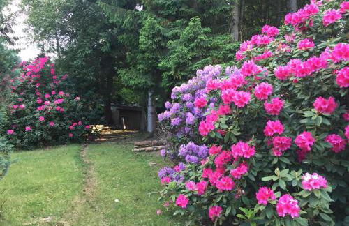 A l'orée des bois - Foto 30