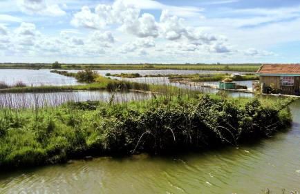 Villa Jardin et forêt océan au Verdon - Foto 36