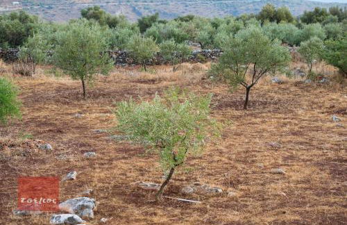 Villa Dimitra - Mani , traditional archontiko - Foto 78