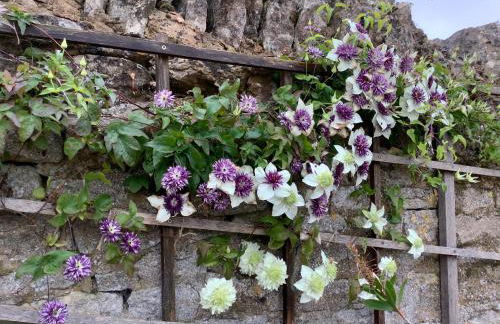 Hollyhock Cottage, Clematis cottages, Stamford - Foto 34