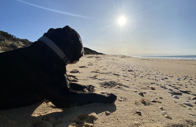 90 Mile Beach House & Villas - Foto 2