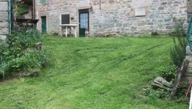 SO MAGIC - La casa nel bosco - Foto 3