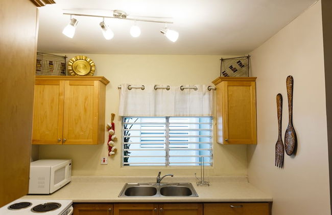 New Kingston Guest Apartment VII - Foto 10