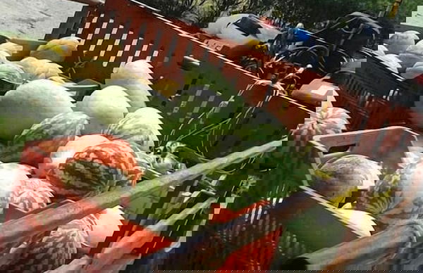 Agriturismo Nereide Ceratti - Foto 41