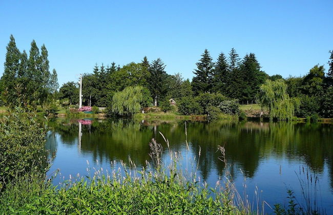 Cabane dans les Arbres - Tree House - Foto 34