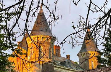 Château Doré les Tours - Appartement Renard - Proche Puy du Fou - Photo 31