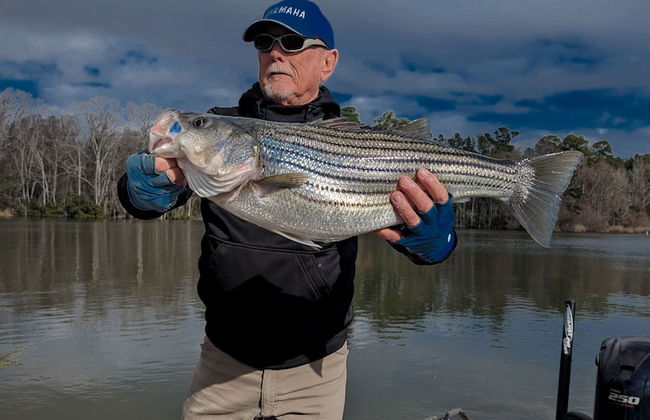 Bells Marina & Resort - Foto 60