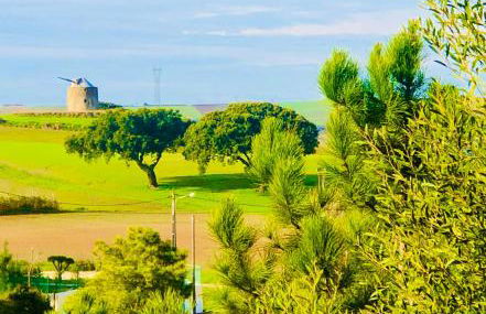 Casa Pátio country house - Foto 25