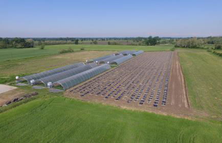 Agriturismo La Morosina - Photo 57