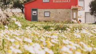 Chão do Ribeirinho Country House - Foto 2