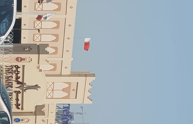 Palmera604 - Foto 24