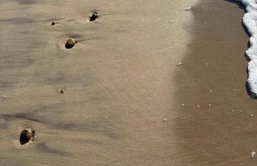 Corner House Plesna - Foto 41