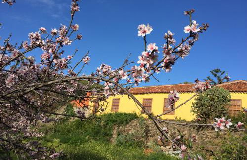 Haciendas del Valle-Montemayor - Foto 22