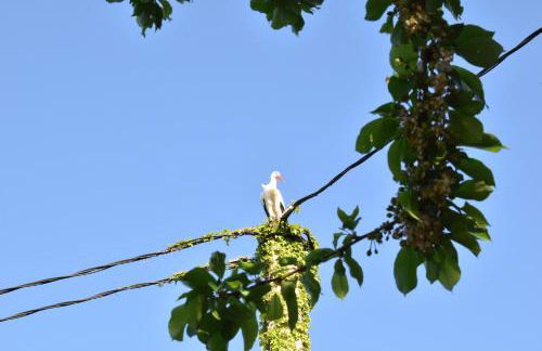 Appartments Rue Des Châteaux - Photo 23
