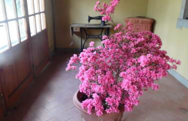 Villa Francesca - Foto 20