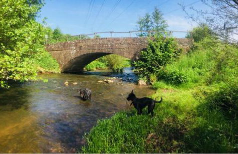 Ferienhaus La Meu - Foto 21