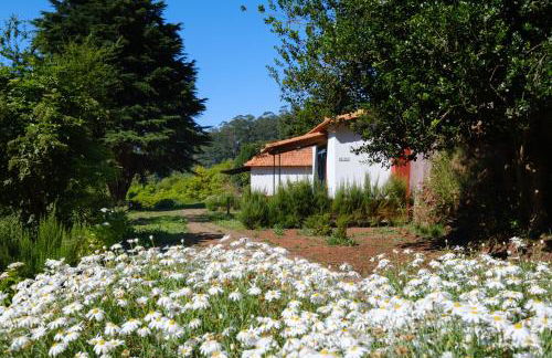 Valle Paraizo - Foto 77