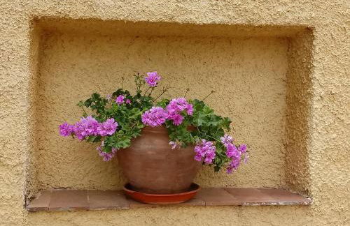 VILLA MARÍA - Foto 4