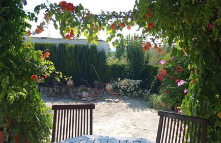 Cueva de la abuela - Foto 33