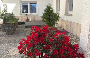 Ferienwohnung Melanie 300 Meter zur Therme - Foto 57
