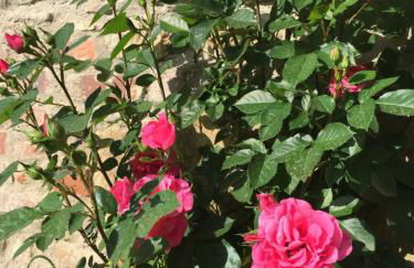 Hotel Campo Di Carlo - Foto 90