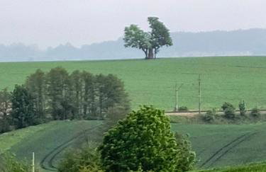 Ptasi Zakątek - Foto 43