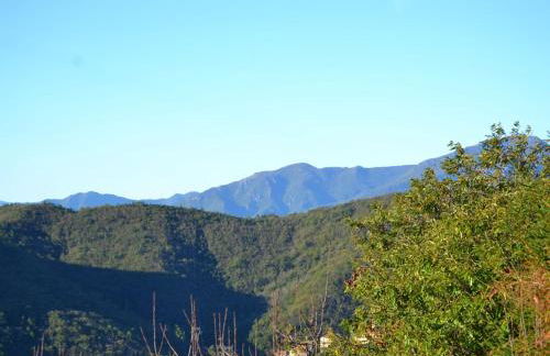 Woodland Escape With Pool - Foto 58