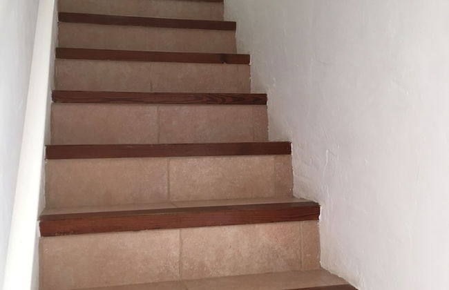 Carpe Diem - Photo 35