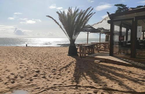 PETIT STUDIO DAnS UN JARDIN - Foto 19