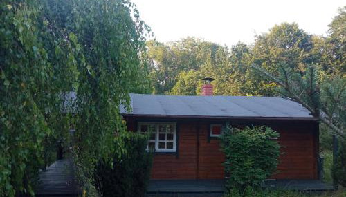 Domek i jurta nad rzeką - Foto 5