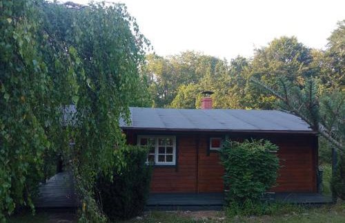 Domek i jurta nad rzeką - Foto 5