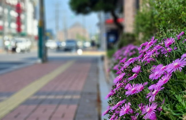 Haha Pension - Foto 62