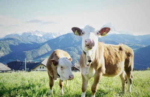 Alpinus Agriturism - Photo 20